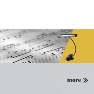 Music stand light